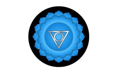 Fifth Chakra: Expression