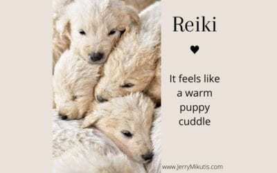 Puppy Cuddles and Reiki