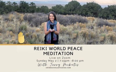 May Reiki Meditation with Ahimsa Yoga