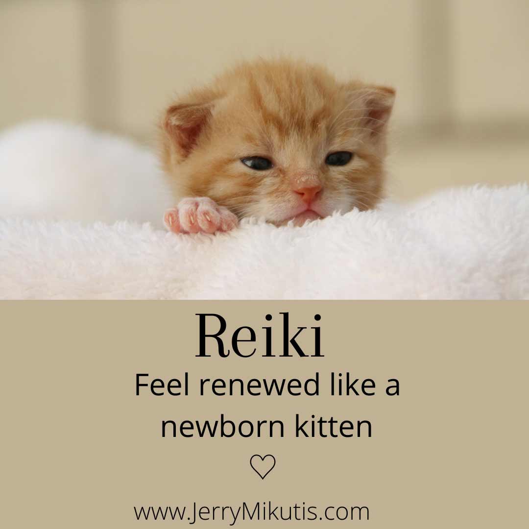 adorable baby orange kitten - Reiki in the Shape of a Kitten