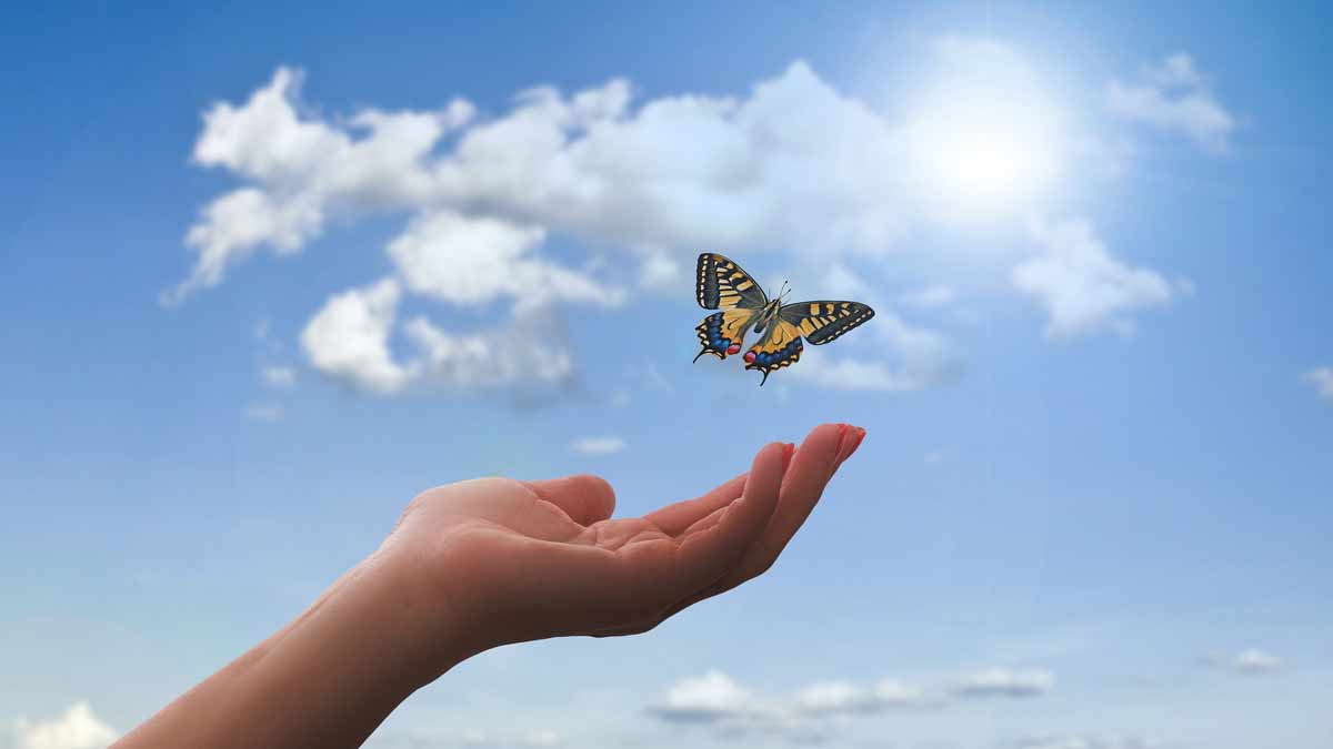 Chicago Reiki - hand raised to the sky with a butterfly fluttering above