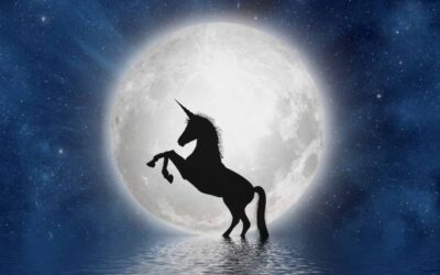 Chicago Reiki: Capricorn 2021 Full Moon Meditation