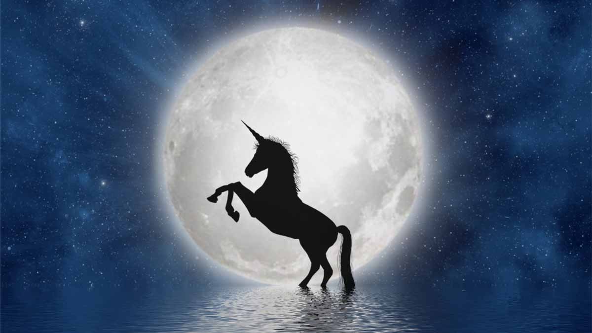 unicorn in front of a large full moon - Chicago Reiki