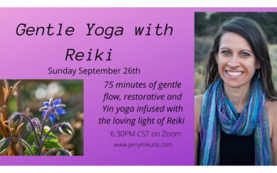 Chicago Yoga and Reiki: September 26, 2021