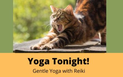 Chicago Yoga and Reiki: Tonight, 9.26.2021!