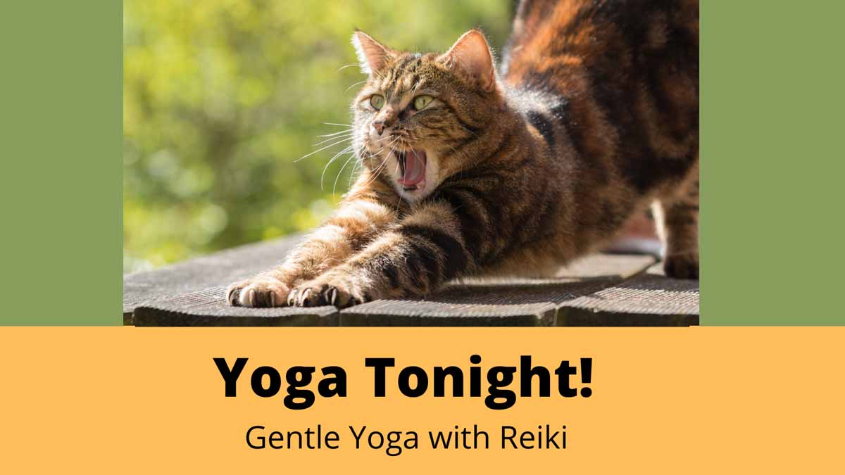 Jerry Mikutis - Chicago Yoga and Reiki - Gentle Yoga with Reiki