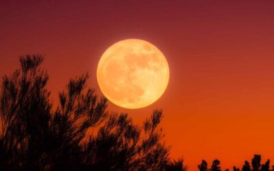 Chicago Reiki and Astrology: Full Moon in Aries 2021