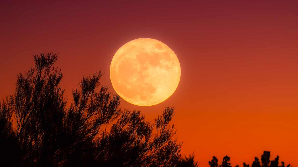 Jerry Mikutis - Chicago Reiki and Astrology -full moon with an orange sky
