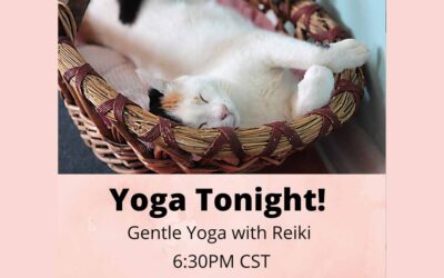 Chicago Yoga and Reiki: Tonight: 10.10.2021!