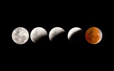 Chicago Reiki and Astrology: Full Moon in Taurus and Lunar Eclipse 2021