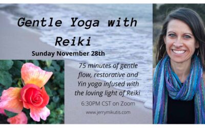 Chicago Yoga and Reiki: November 28th, 2021