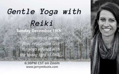 Chicago Yoga and Reiki: December 19th