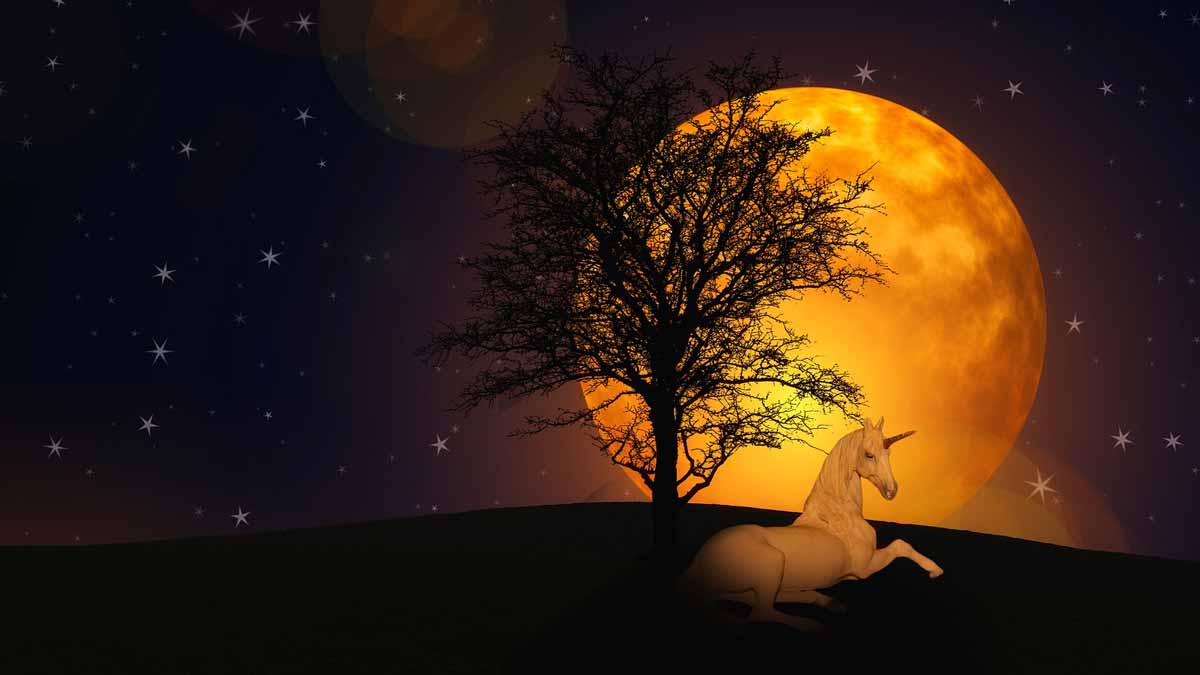 Jerry Mikutis - Chicago Reiki and Astrology Meditation - New Moon in Capricorn - Image of a unicorn at night with the moon