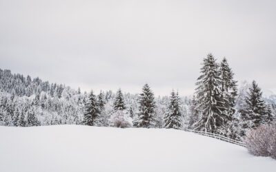 Reiki Circle Chicago: January 24th