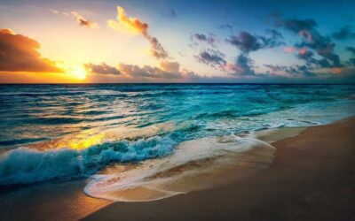 Chicago Reiki Meditation Tonight: Ocean of Holy Love