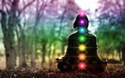 Reiki in Chicago: A Meditation Journey of Light through the Chakras