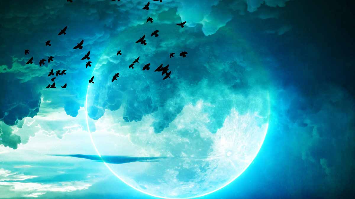 Jerry Mikutis - Reiki Chicago World Peace Meditation - Moon in the night sky with flock of birds