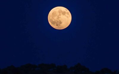 Chicago Reiki and Astrology Meditation: Full Moon in Libra 2022