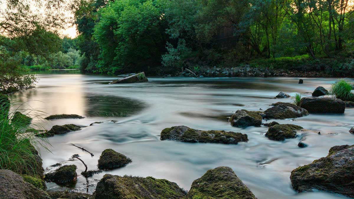 Jerry Mikutis - Holy Fire Reiki Chicago Meditation: River of Peace Experience - river in the woods