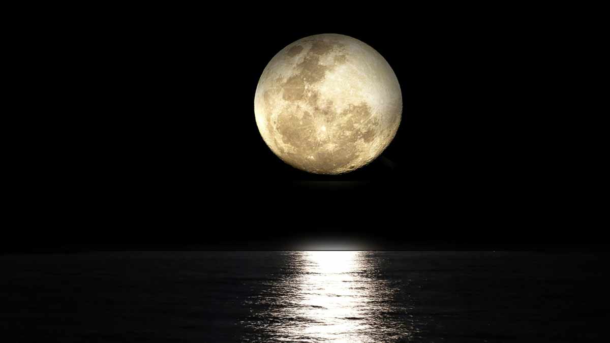 Chicago Reiki Meditation – Full Moon in Sagittarius 2022