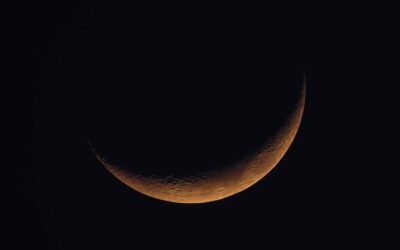 Chicago Reiki and Astrology Meditation: New Moon in Leo 2022